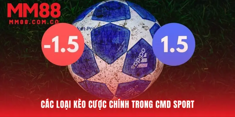 Các lựa chọn đặt cược chính trong sảnh CMD sport