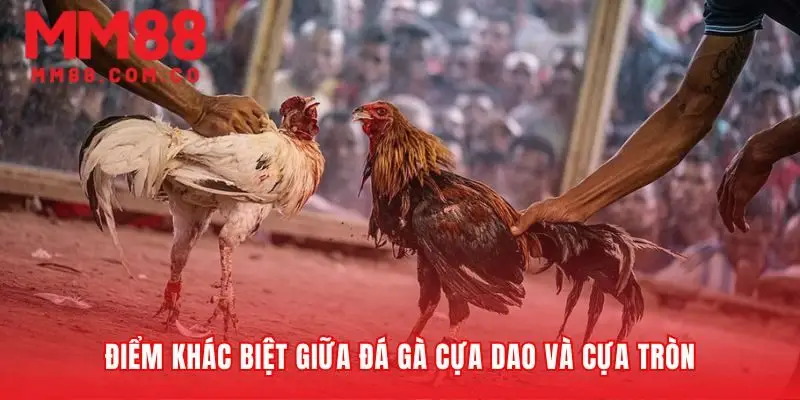 Hai trường phái đối kháng hoàn toàn khác biệt