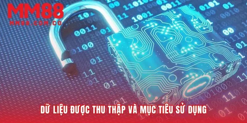 Hiểu rõ dữ liệu để bảo vệ quyền lợi chính bạn