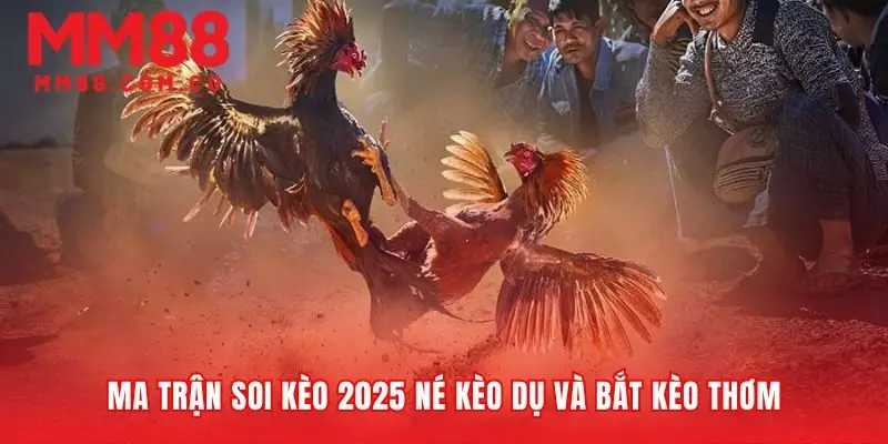 Chiến thuật đặt cược thông minh trong đá gà miền Tây