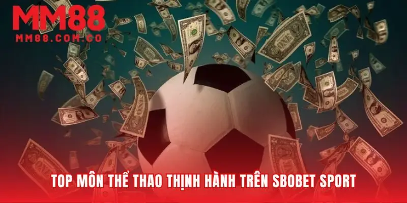 Những đấu trường SBOBET Sport được yêu thích nhất
