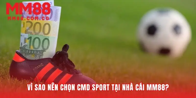 Lợi thế cạnh tranh định hình sảnh cược chuyên nghiệp